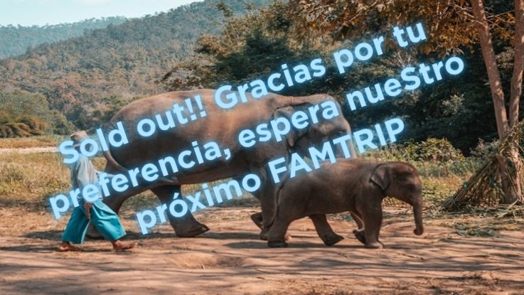 FAMTRIP_Tailandia_03_al_11_de_octubre_2025