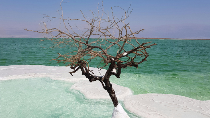 Jordania, Desierto y Mar muerto, 8 días