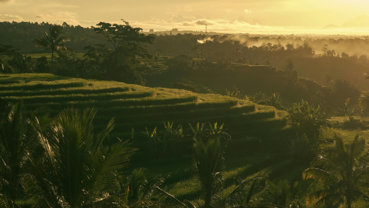 Bali al completo, 7 días